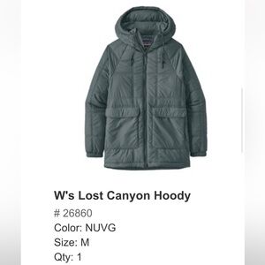 Patagonia Canyon Hoody - Gray